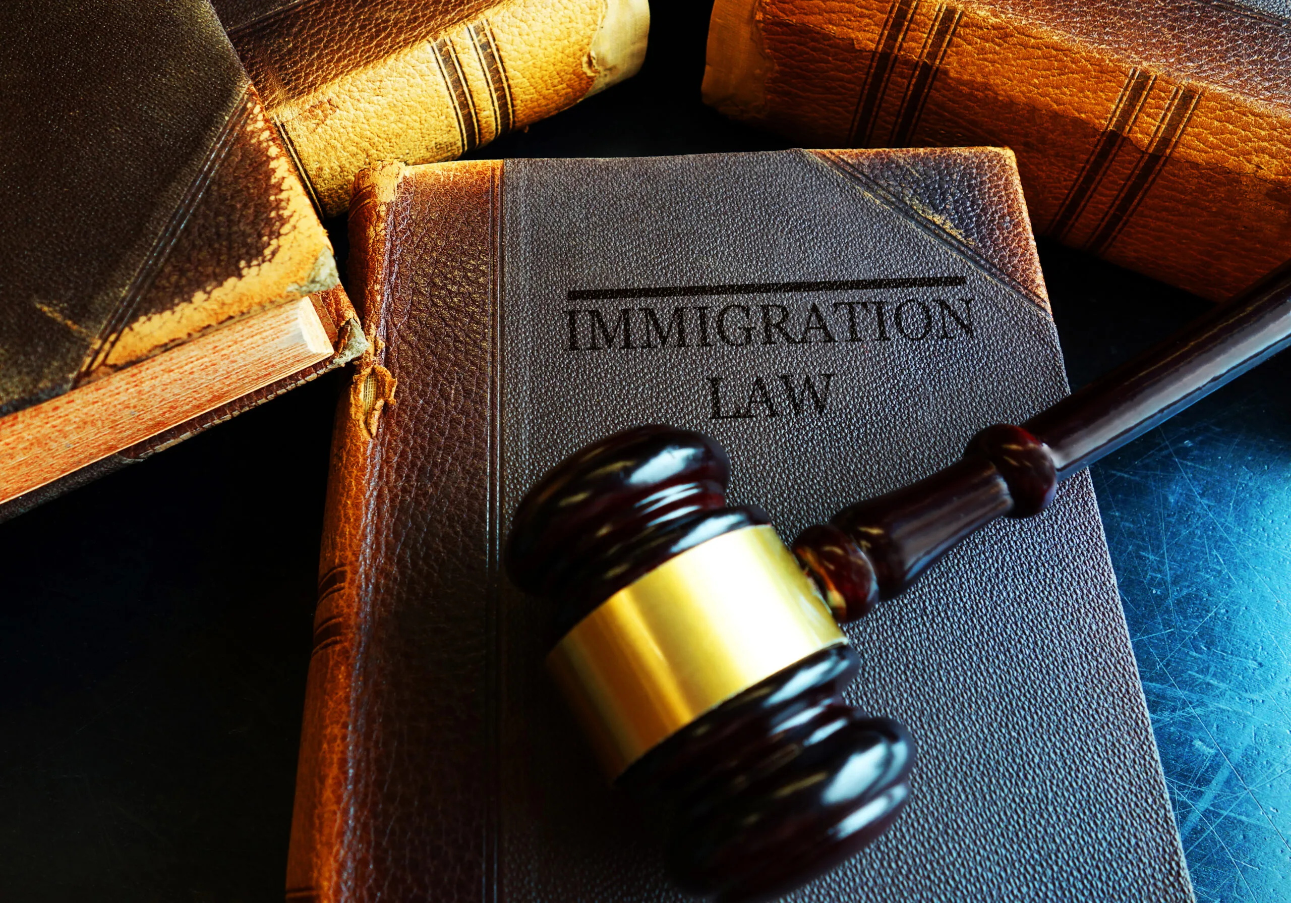 immigration law book and gavel