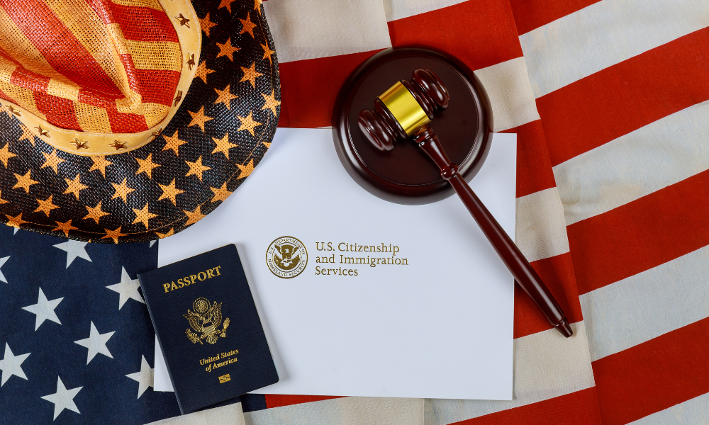 Immigration law- procedures documents and passport