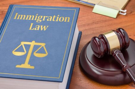 Immigration Lawyer in Wilmington, DE